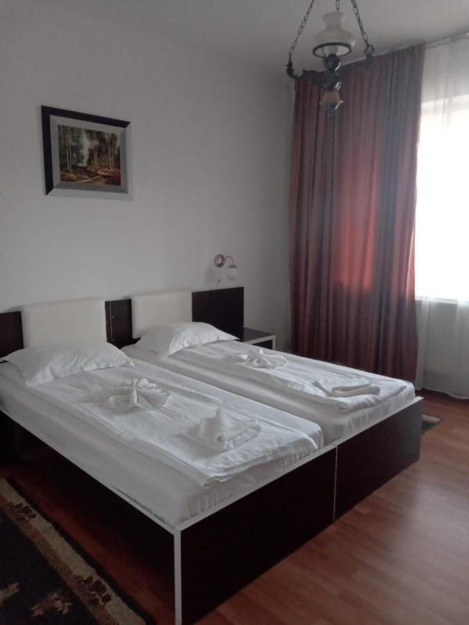 Hotel Turist Pucioasa 外观 照片
